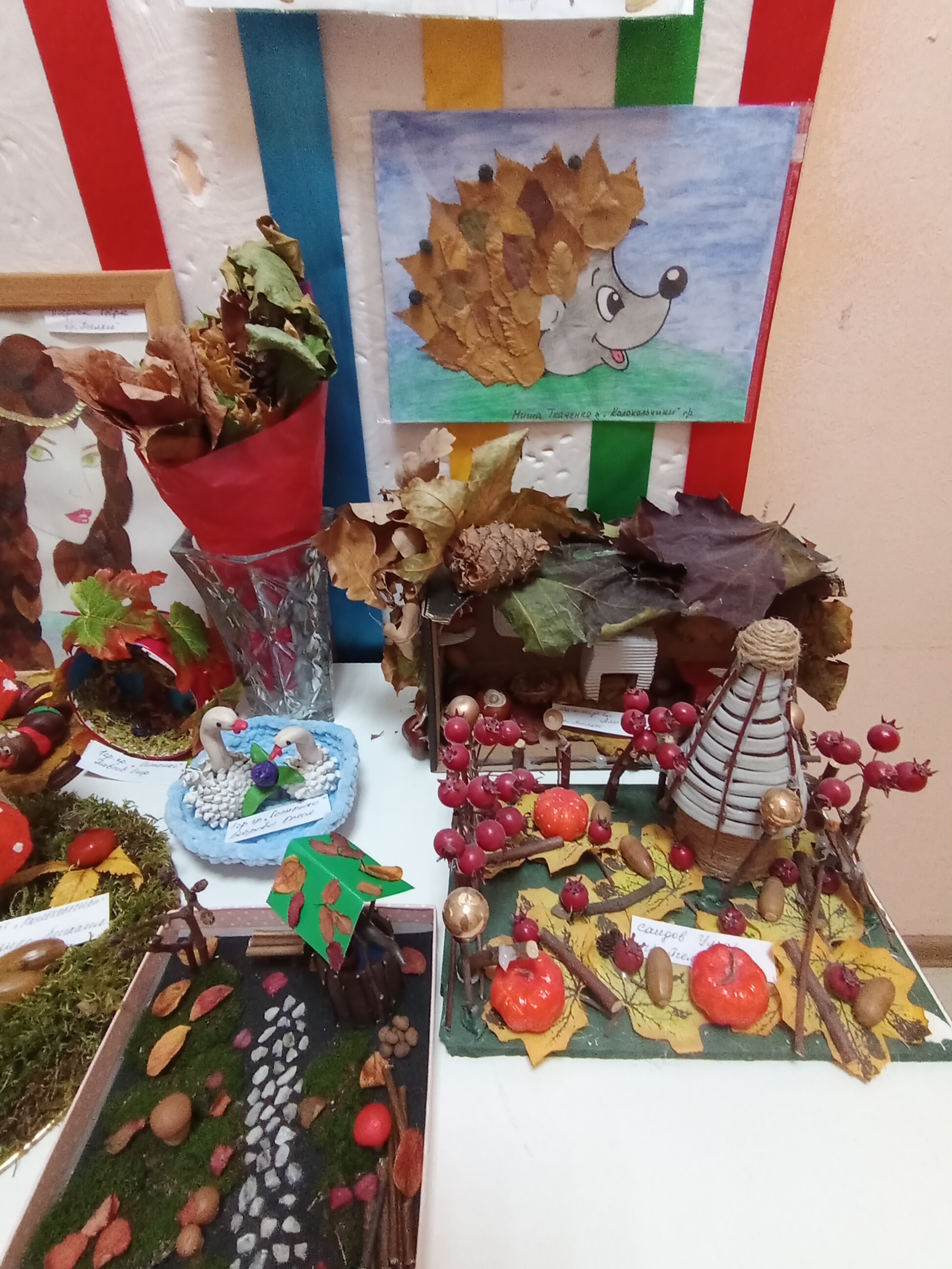 IMG 20231024 151645